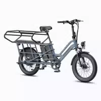 Fafrees Ff20 Cuv Elektro Lastenrad, 2 X 12 Ah Akku 1 st