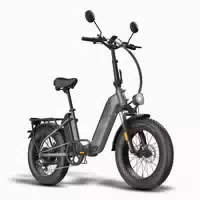Fafrees Ff20 Polar Falt E Bike, Doppelakku 24 Ah 1 st