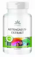 Warnke Vitalstoffe | Astragalus Extrakt