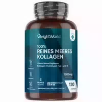 Reine Meereskollagen Kapseln 1170 mg Naticol Meereskollagen Typ 1 Pro Dosis 120 Kapseln Vorrat für 2 Monate Online Bestellen