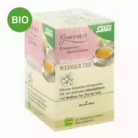 Weisser Tee Blütenzauber Bio Salus Filterbeutel