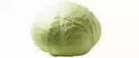Weißkohl 1 kg