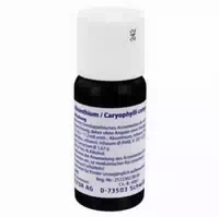Absinthium Caryophylli Comp Dilution