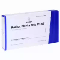Arnica Planta Tota Rh D 20 Ampullen 8x1 Ml
