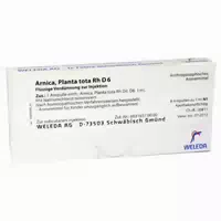 Arnica Planta Tota Rh D 6 Ampullen