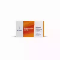 Weleda Birkenkohle Comp 20 St Hartkapseln