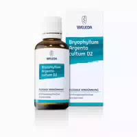 Weleda Bryophyllum Argento Cultum D 3 Dilution 50 ml Dilution