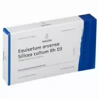 Equisetum Arvense Silic Cult Rh D3 Ampullen