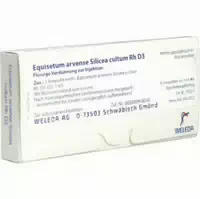 Equisetum Arvense Silicea Cultum Rh D 3 Ampullen