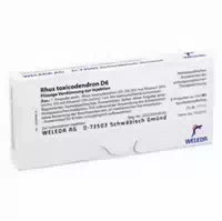 Rhus Toxicodendron D 6 Ampullen 8x1 Ml