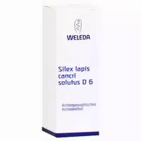 Silex Lapis Cancri Solutus D 6 Dilution 50 Ml