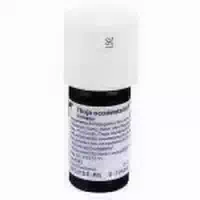 Weleda Thuja Occidentalis Urtinktur 20 ml Dilution