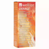 Wellion Orange Invertzuckersirup Beutel 10x13 Ml Beutel
