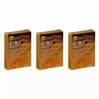 Wellion Zimt Plus Kapseln