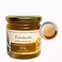 Wellness Drinks Bio Kombucha mit Lebendem Kombucha Pilz Scoby