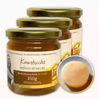 Wellness Drinks Bio Kombucha mit Lebendem Kombucha Pilz Scoby