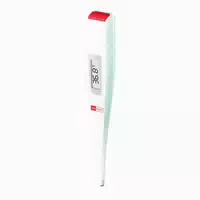 Aponorm Stabthermometer Flexible 1 St