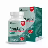 Prostalid – Sägepalme für die Gesundheit der Prostata und der Harnwege