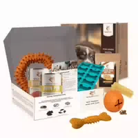 Paket Zauberbox