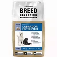 Wildsterne Breed Labrador Retriever