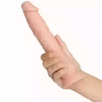 Willie City Realistischer Detaillierter Dildo Mit Saugnapf 23 Cm