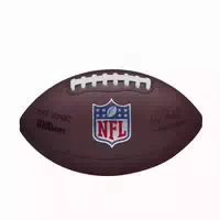 Wilson Football Nfl The Duke Replica