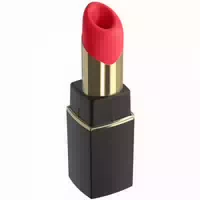 Womanizer Womanizer Beauty Klitorisstimulator mit Saugfunktion Schwarz
