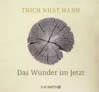 Das Wunder im Jetzt
