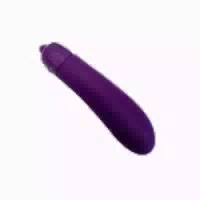 Aubergine Mini Vibrator