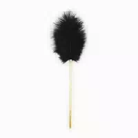Liane Ostrich Feather 1 st