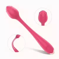 Ro Lust Vibrator