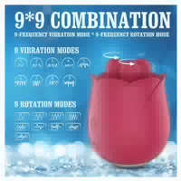 Ro Lux One Mini Vibrator mit Rotation 1 st