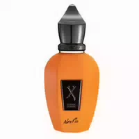 Xerjoff Duran Duran Neorio Orange Eau De Parfum Spray 50ml