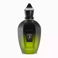 100 ml
