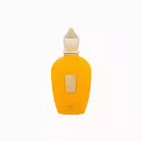 Xerjoff Vibe Accento Eau De Parfum 100 ml