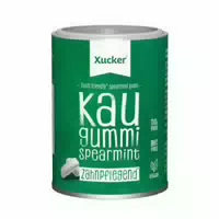 Xylit Kaugummis 100g Spearmint