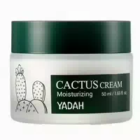 Yadah Cactus Sonnencreme Lsf 50 Pa 35 ml