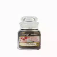 Aromatic Candle Classic Small Berry Mochi