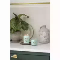 Duftkerze Signature Glas Mittel Aloe & Agave