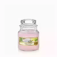 Yankee Candle Duftkerze Sunny Daydream Classic Small Jar