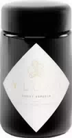 Ylumi Purify Kapseln 35,1 g