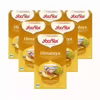 Yogi Tea Himalaya Chai Bio Gewürztee