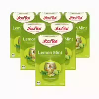 Yogi Tea Ingwer Zitrone, Bio Kräutertee