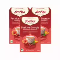 Yogi Tea Positive Energie Bio Schwarztee