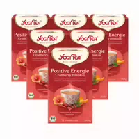 Yogi Tea Positive Energie Bio Schwarztee