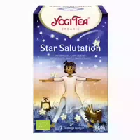 Yogi Tea Star Salutation 17x1,9 st