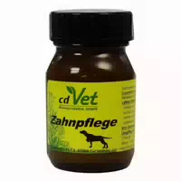 Zahnpflege Veterinär