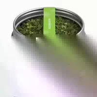 Zauber der Gewürze Salatkräuter