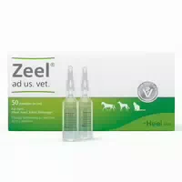 Zeel Ampullen Veterinã¤r