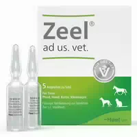 Zeel Ad Us Vet Ampullen 5x5 ml